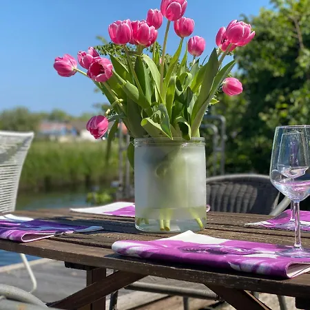 Feriehus Ferienpark Vislust Ferienhaus Balu Mit Eigenem Steiger Zum Angeln Ijsselmeer Niederlande Wervershoof